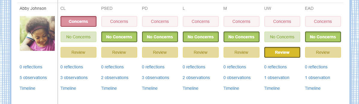 Screenshot of the Areas of Concern screen showing a child where a staff member has recorded 1 area where they have some concerns and 1 area where they would like to review the child's development. 